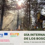 <strong>El Proyecto CILIFO celebra el Día Internacional de los Bosques</strong>